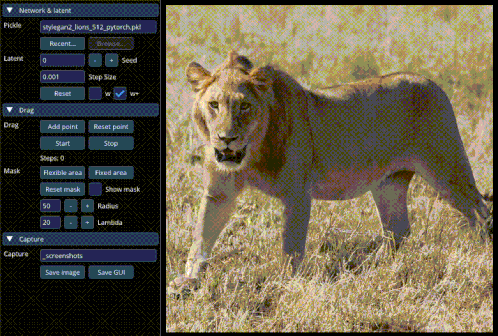 drag-dragan-ai-editing